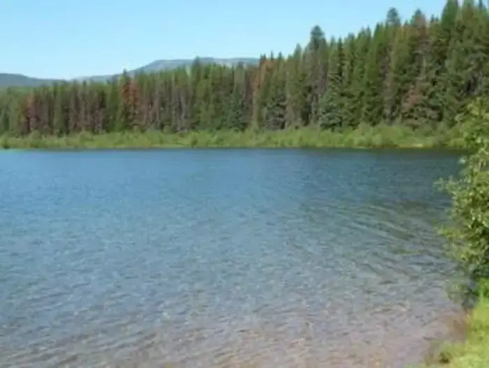 Lake Inez, Montana.View of Lake Inez looking North.