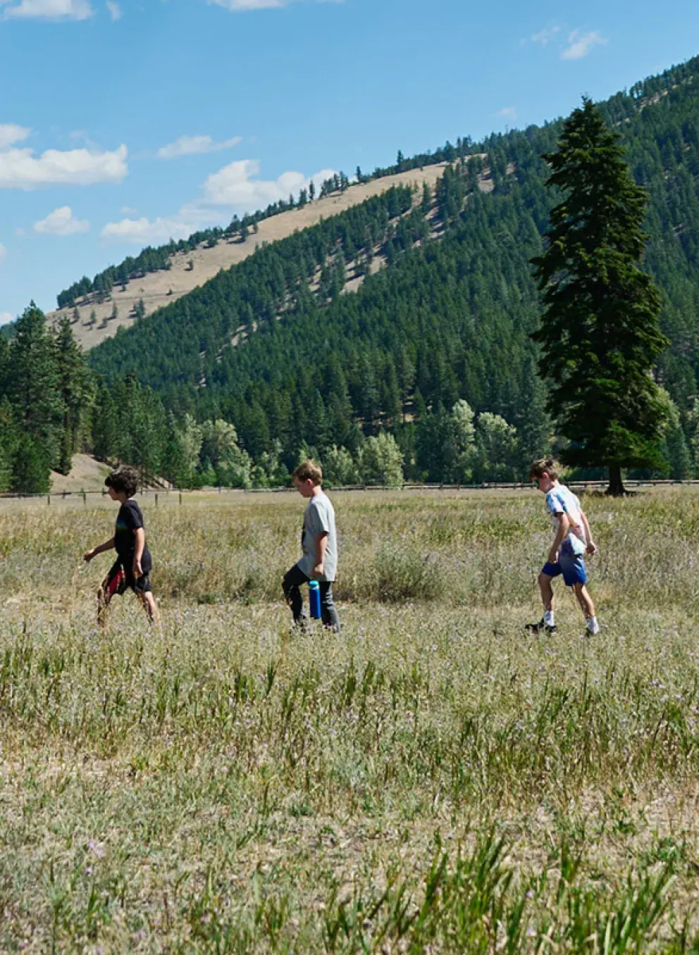 a missoula ymca counselor leads a group of summer campers through a field with a mountain in the background