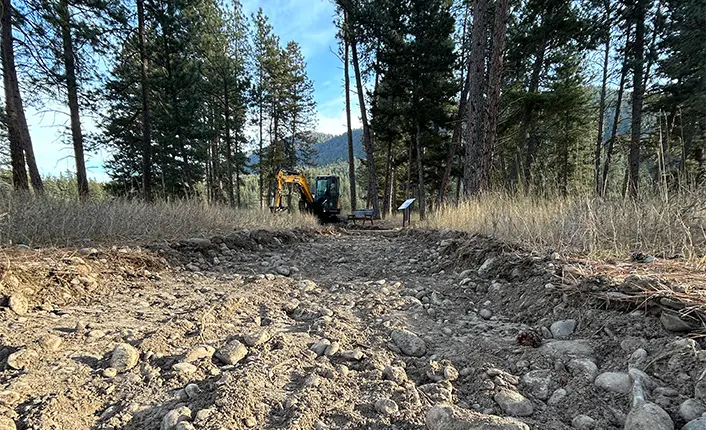 An excavator works on a dirt path in a wooded forest area.