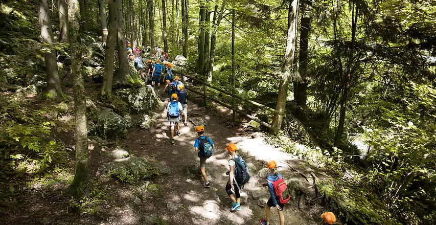 A group of children wearing matching orange hats and carrying backpacks hikes along a wooded trail.
