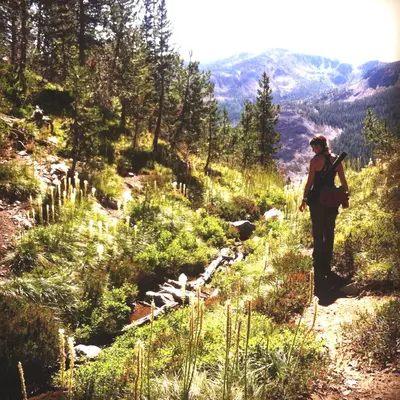 A person with a backpack stands on a trail in a mountain forest.