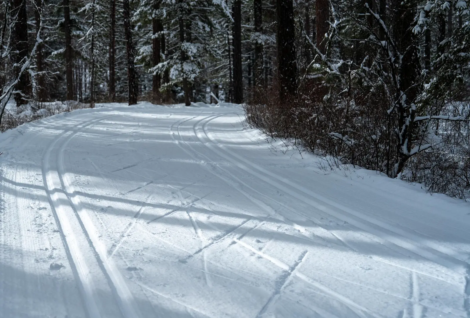 Images of the Nordic Ski Trails in the sunlight and shadows at the Pattee Canyon Recreation Area.