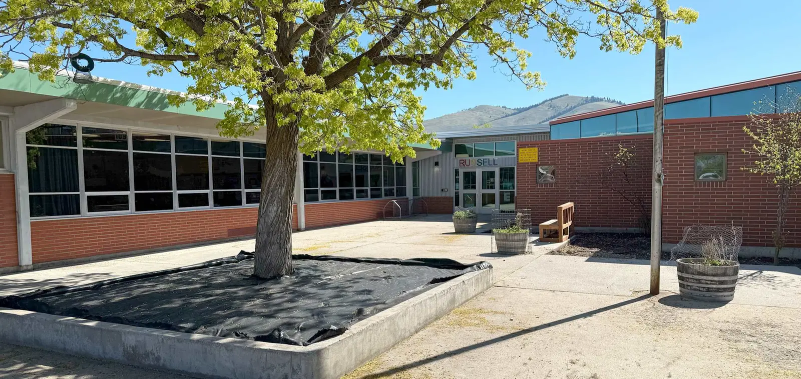 A school exterior features a central tree, a brick building, and a paved courtyard.