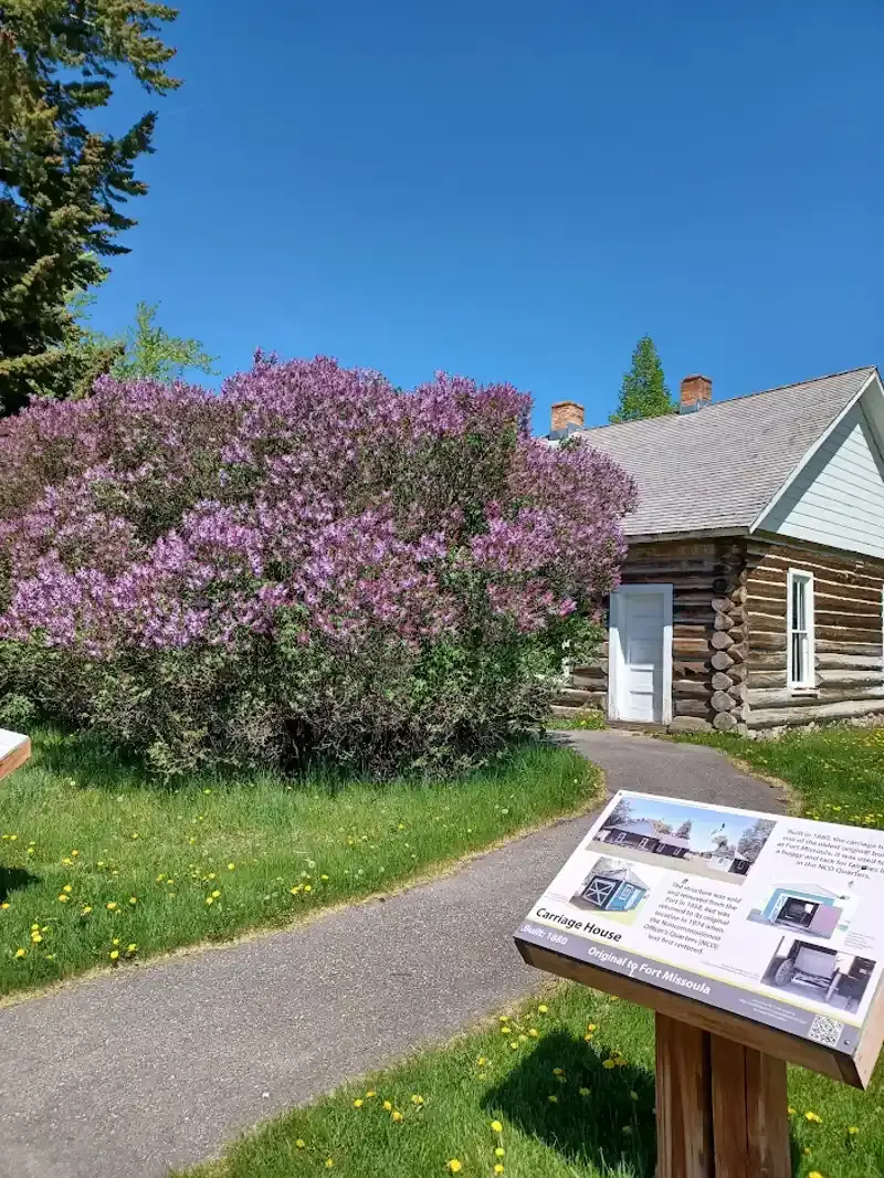 An information sign stands in front of a rustic log building surrounded by a blooming lilac bush.