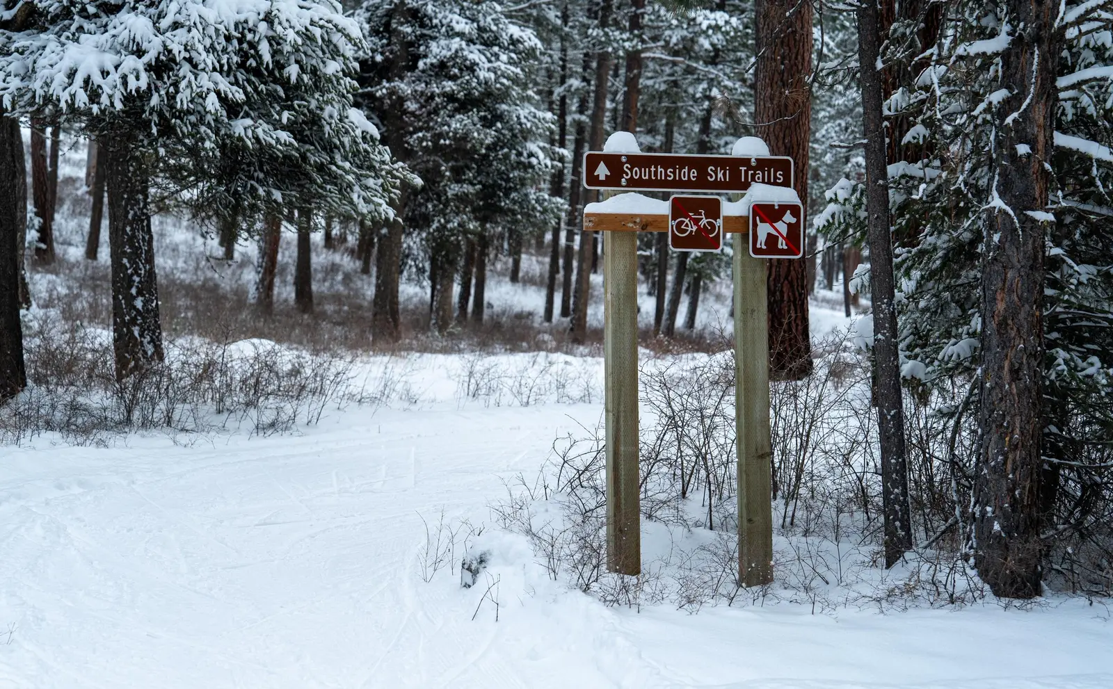 Images of the Nordic Ski Trail signs at the Pattee Canyon Recreation Area.