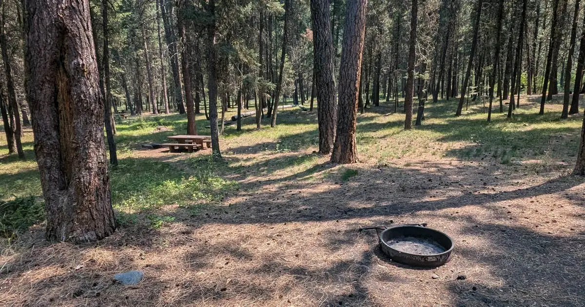 A shaded forest campsite features a fire ring and a picnic table.