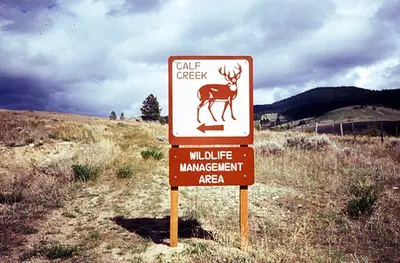 Photo from myfwp.mt.gov Calf Creek