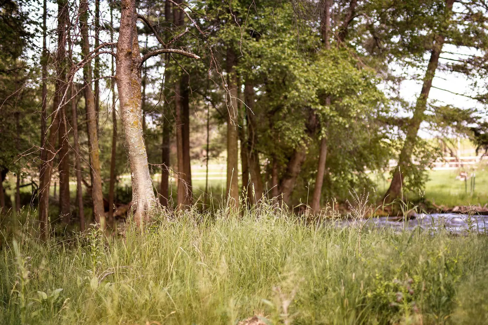 Image of the land