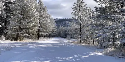 Photo from nordic-pulse.com Cross country skiing at Pattee Canyon