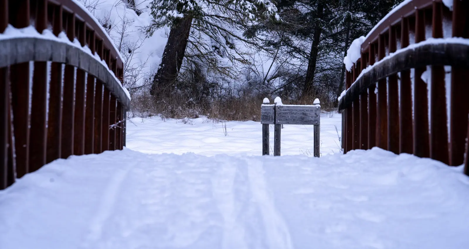 Image of the Nordic Ski Trails at the Rattlesnake National Recreation Area.