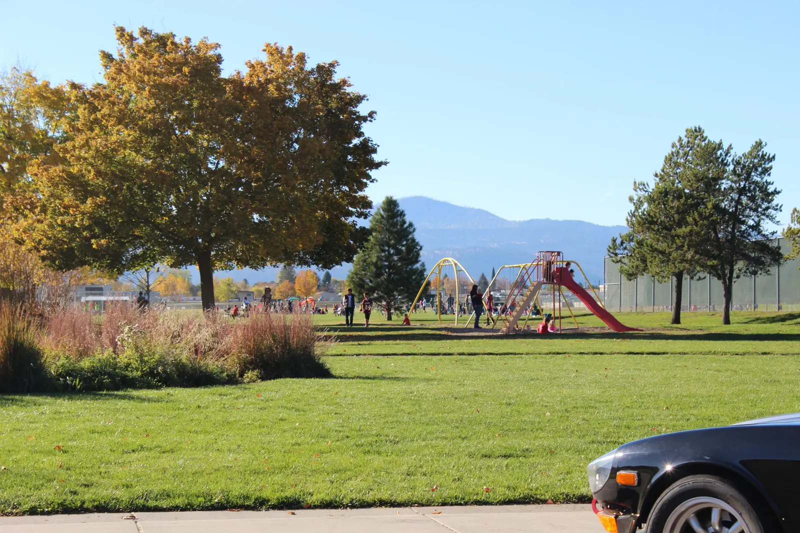 Playfair Park