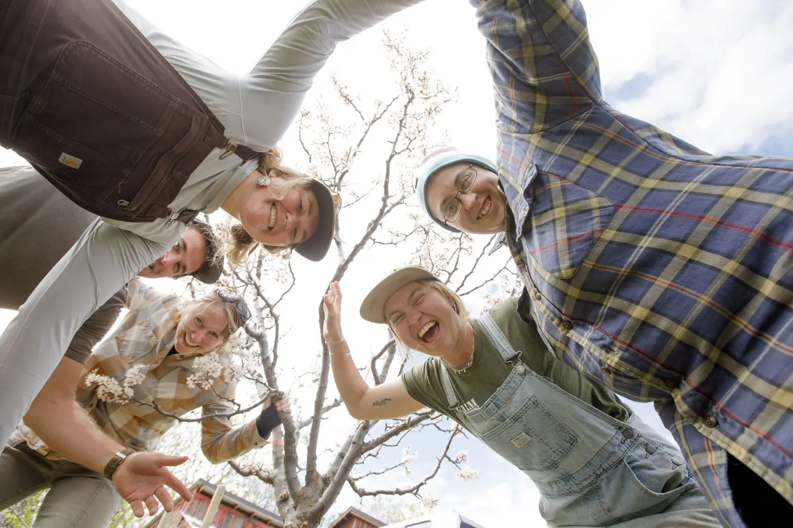 A group of young adults huddles in a circle beneath a blooming tree.