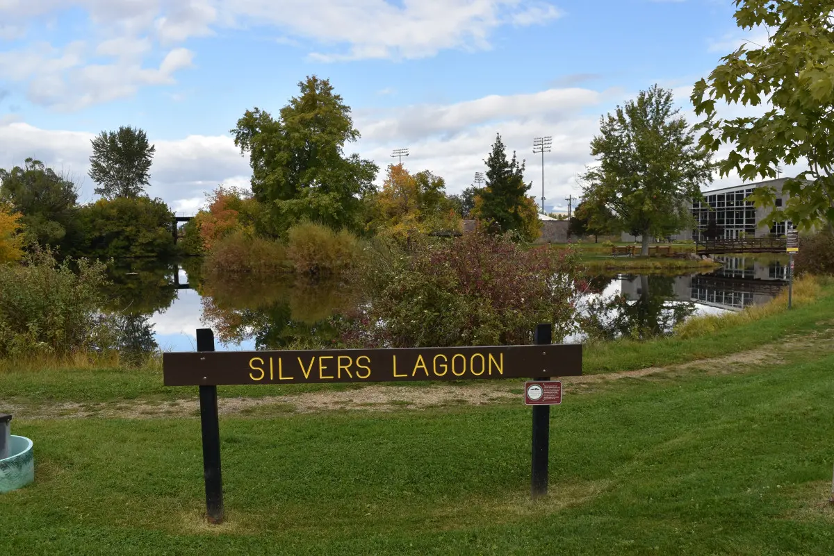 A sign labeled 'Silvers Lagoon' stands before a tranquil pond.