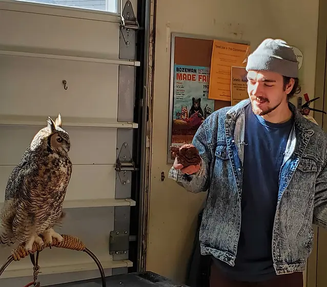 A caucasian man in a beanie and denim jacket holding up a sculpted owl-face to a real great horned owl that is sitting calmly as a reference for a class of sculptors.
