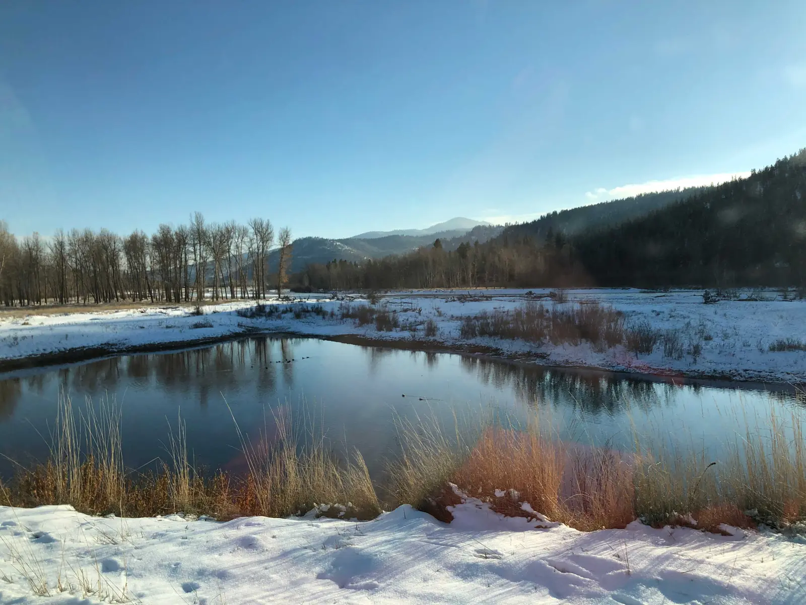 A snow-covered landscape features a small pond reflecting the surrounding trees and distant mountains under a clear blue sky.