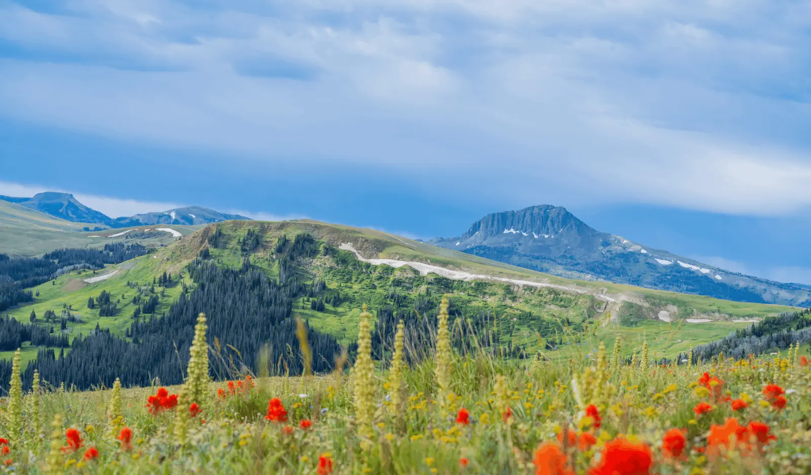 A scenic view of a mountain range with wildflowers in the foreground.