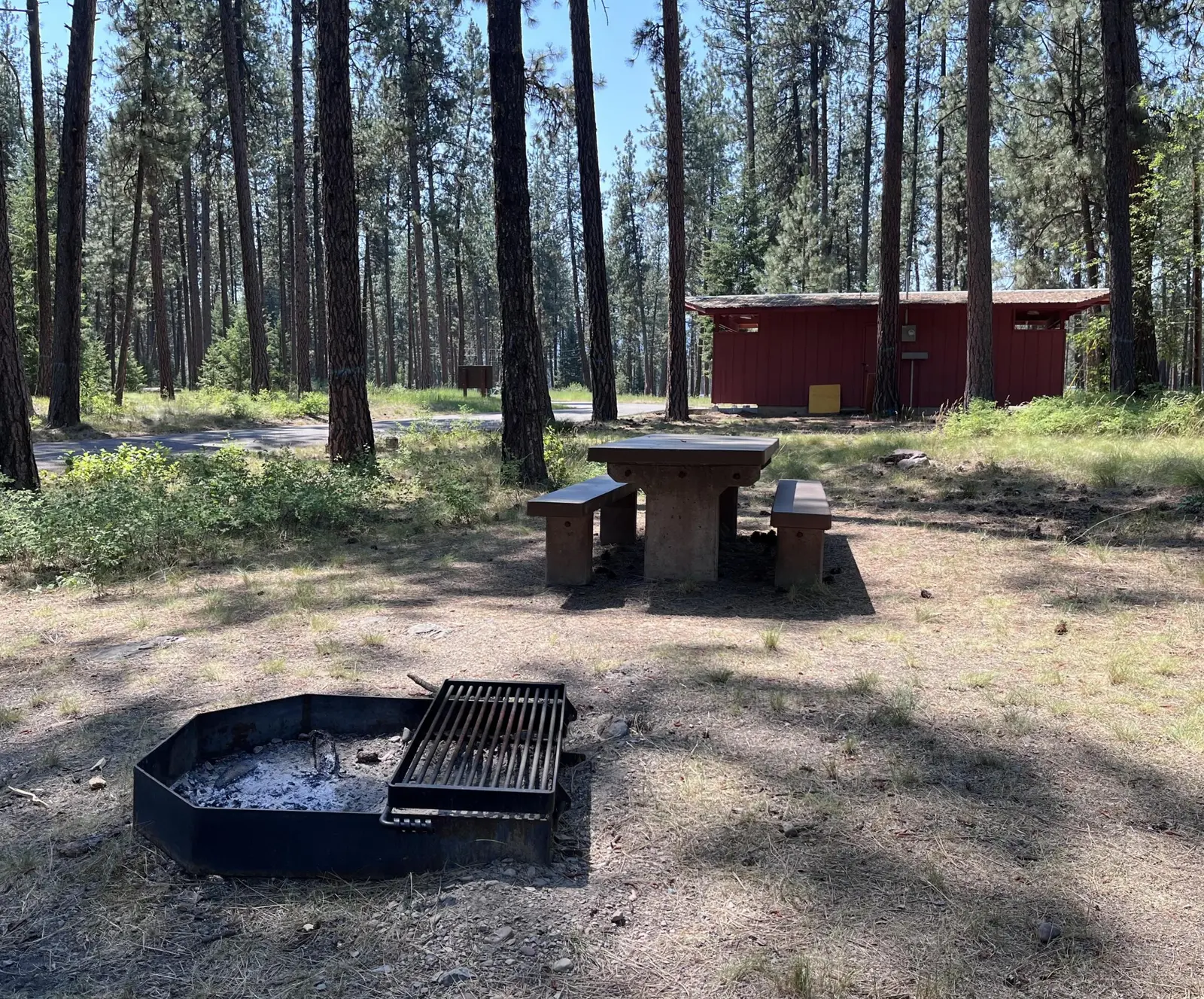 Image of a campsite at the Quartz Creek Campground, Lolo National Forest, Montana.