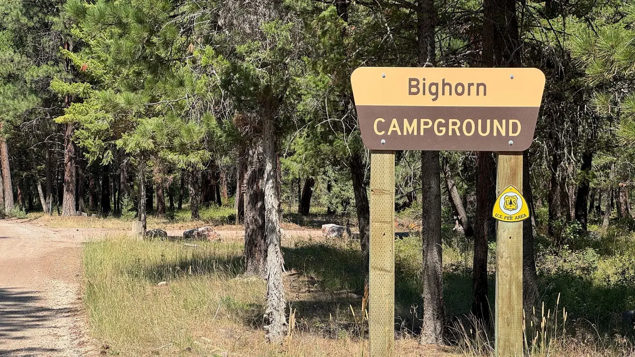 A wooden sign for a campground stands along a dirt road in a forest.
