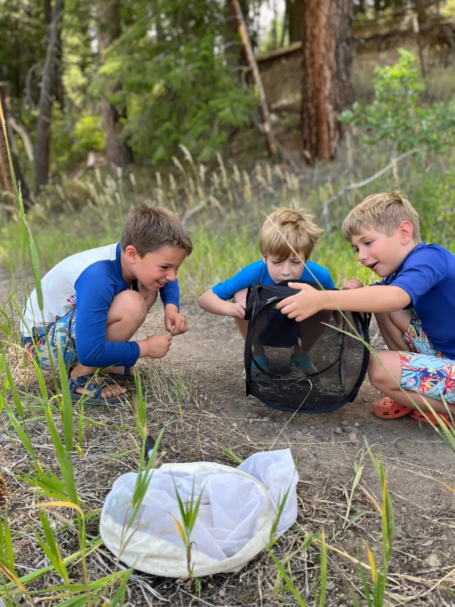 Three young boys squat in a forest to look at a portable mesh habitat.