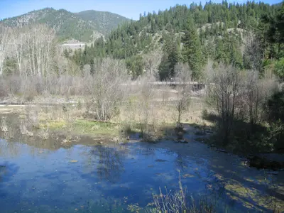 Photo from myfwp.mt.gov Forks