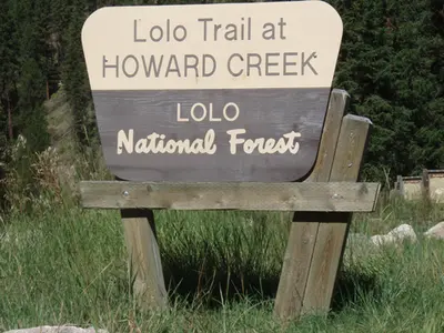 Forest service sign [see text above]