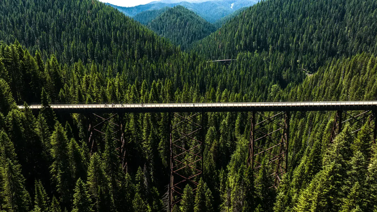 view of trestle bridge on rails to trails project, Hiawatha