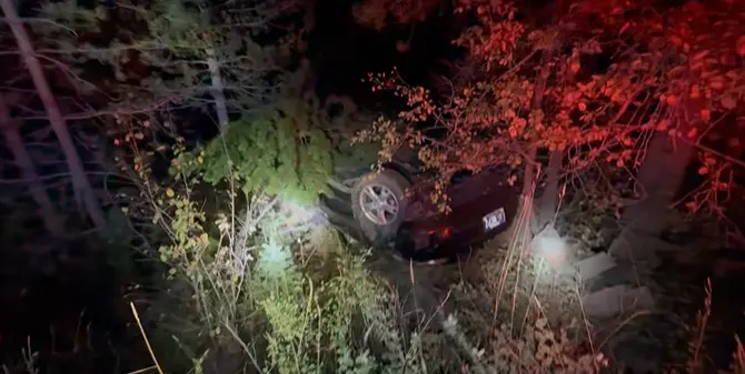A car is shown crashed into trees and brush at night.