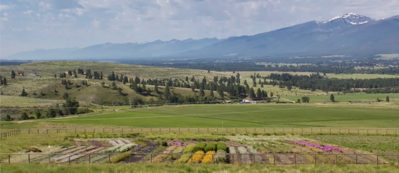 A view of a farm field with various crops in the foreground against a backdrop of rolling hills and mountains.