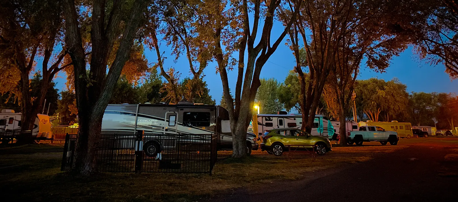 A row of recreational vehicles and cars parked under trees at dusk.