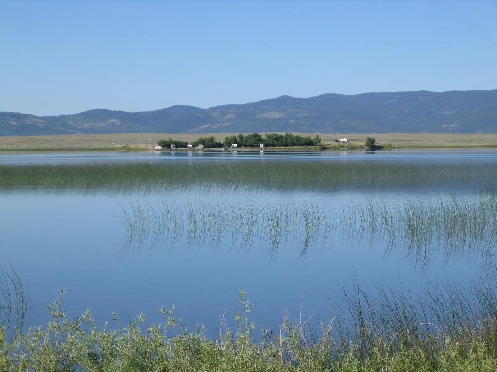 Brown's Lake