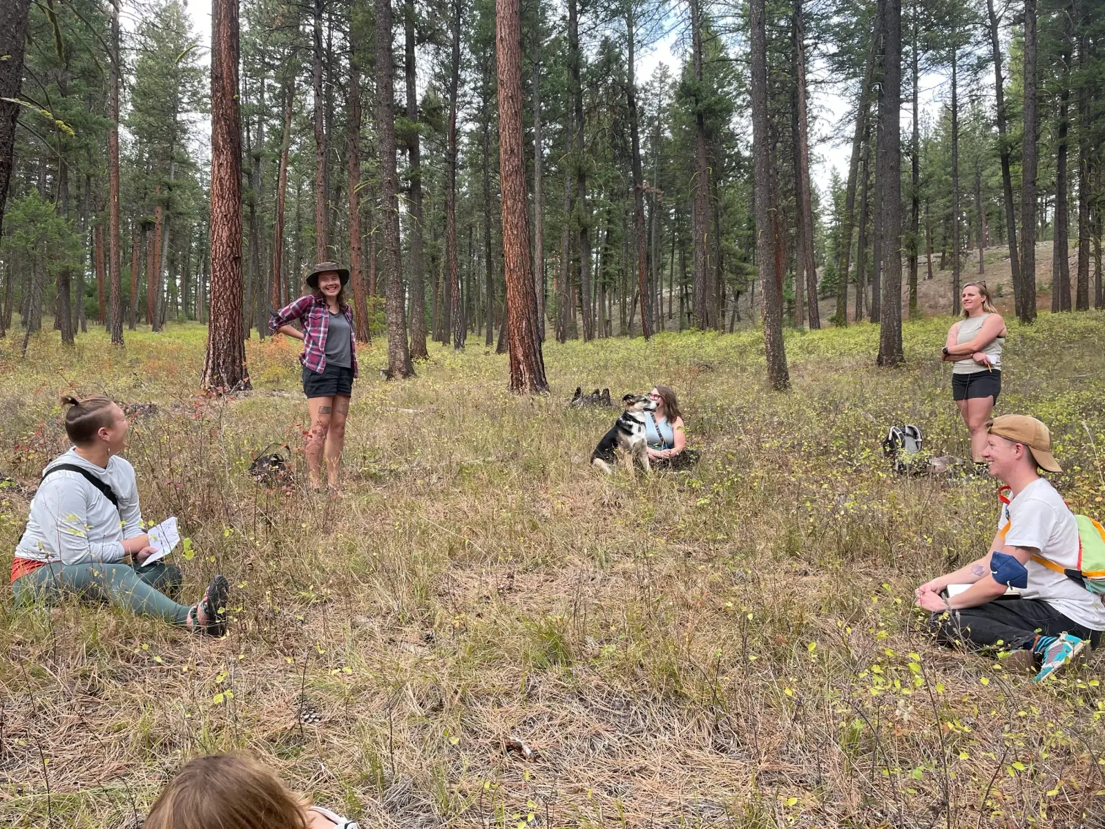 A small group of adults and a dog sit in a forest clearing.