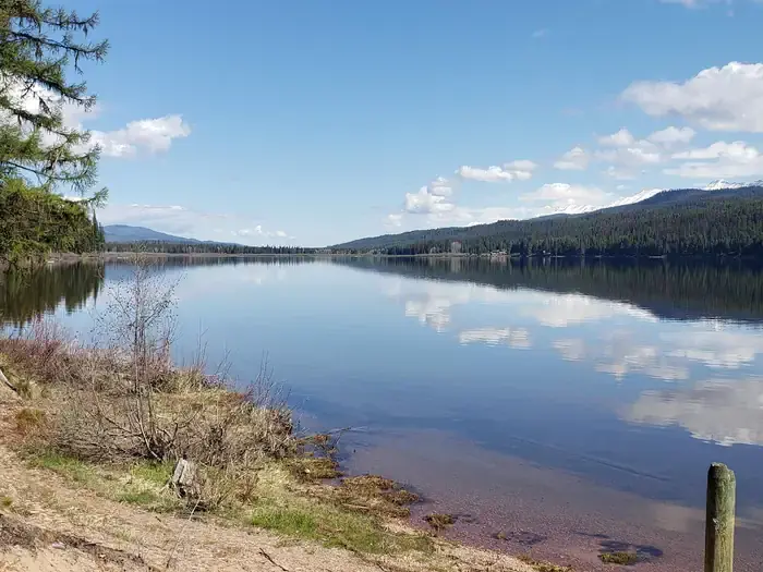 View from Seeley Lake beach looking North. A deep, blue sky and trees lining the lake can be seen reflecting in the water. View from Seeley Lake beach.