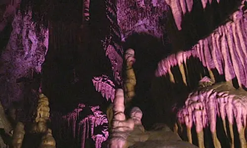 Stalagmites and stalactites are illuminated with a purple light inside a cavern.