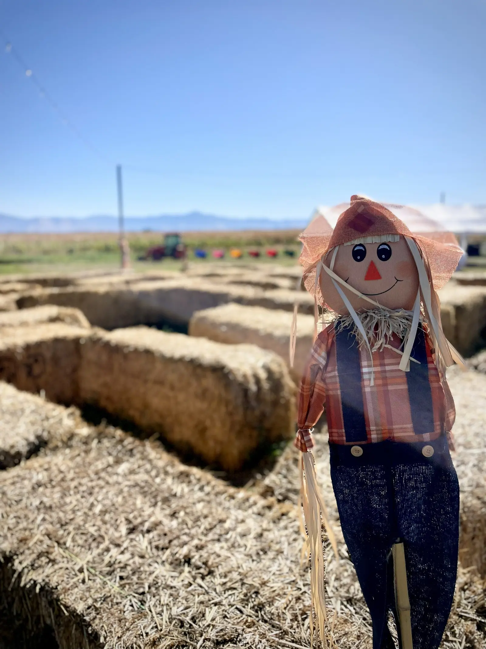 A scarecrow stands in front of a hay bale maze on a sunny day.