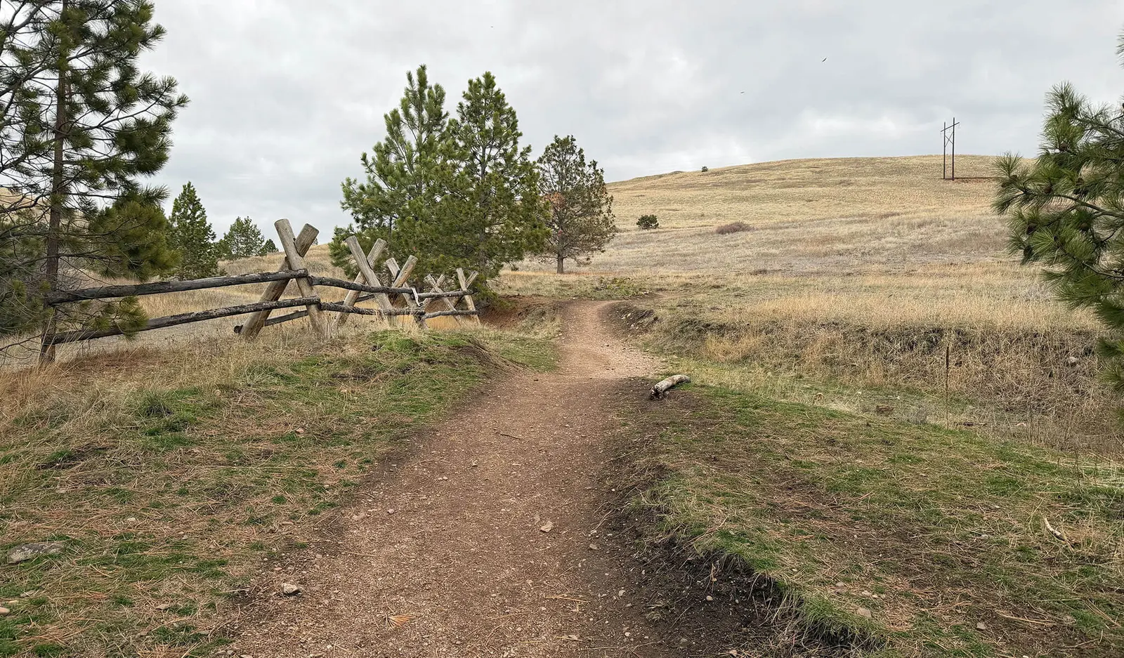 Trail in Bluebird Preserve