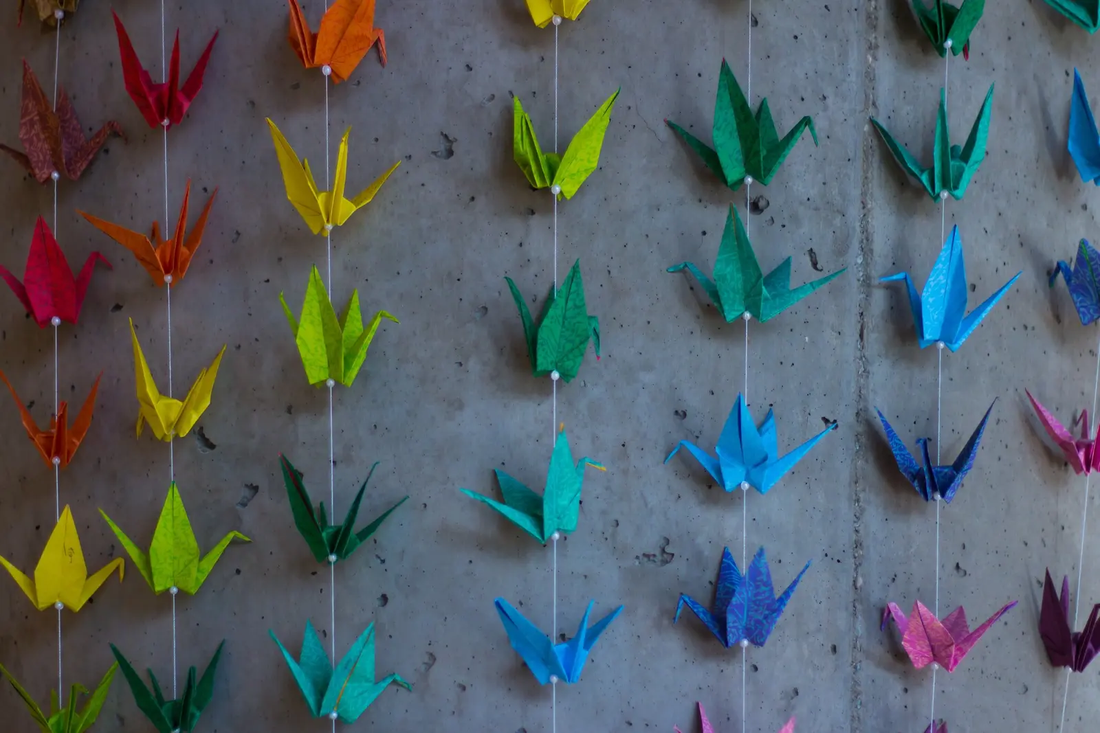 Rows of colorful origami cranes hang on strings against a concrete wall.