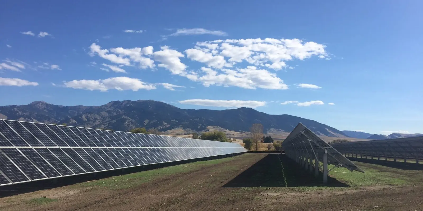 Rows of solar panels are set up in a field with mountains in the background.