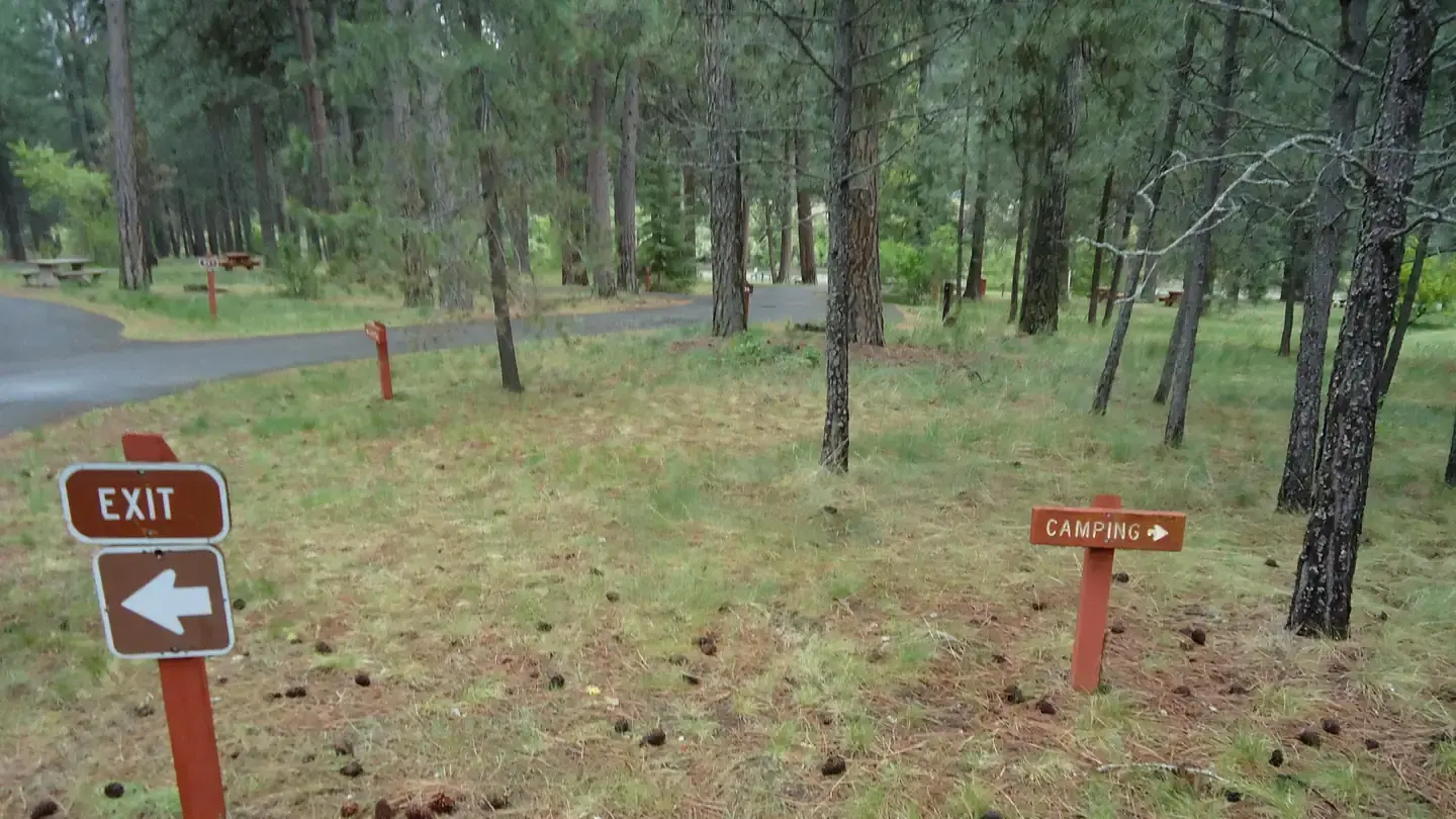 Sloway CampgroundWooded Campsites