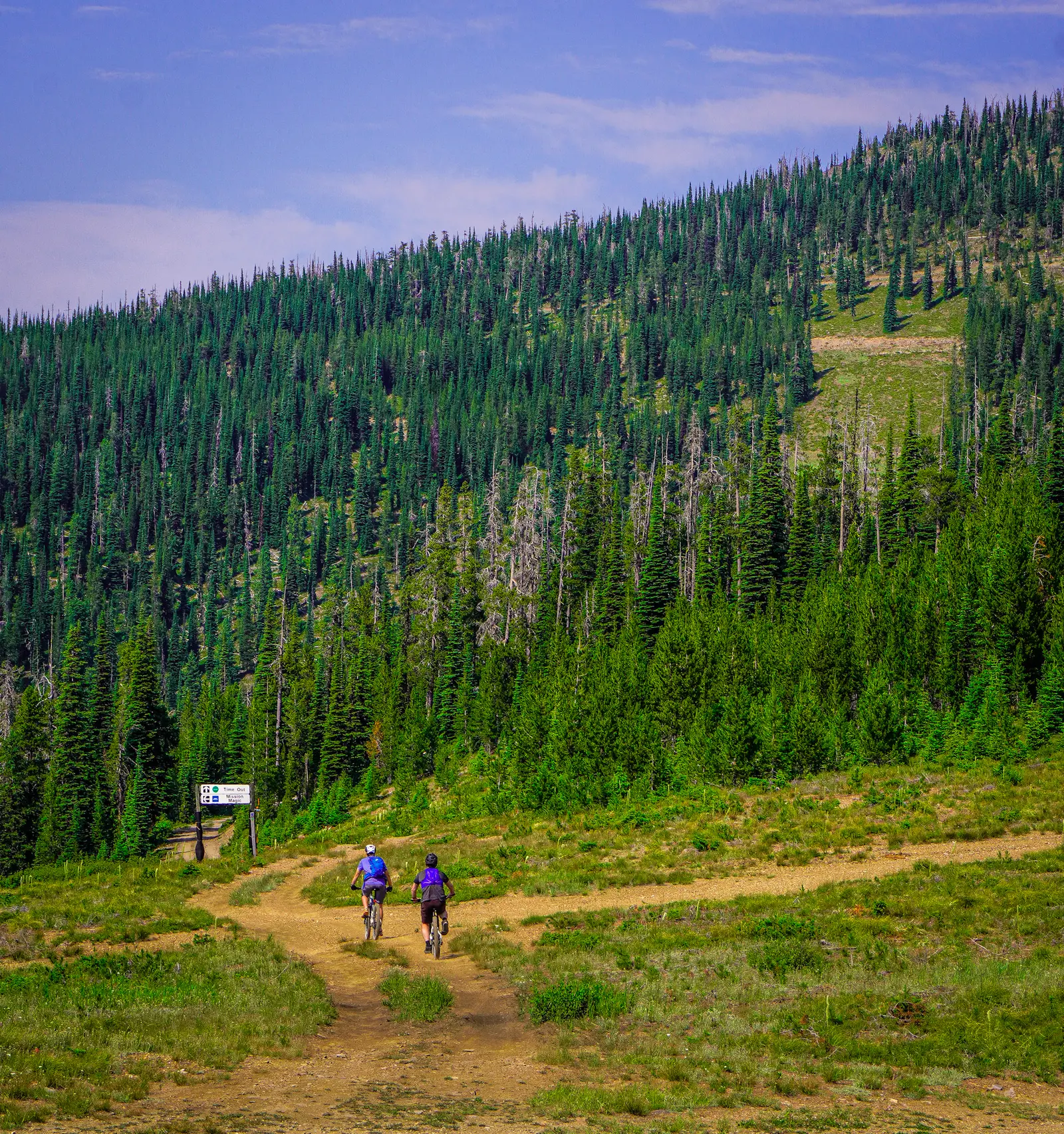 Two mountain bikers ride along a dirt trail in front of a dense pine forest on a mountain slope.