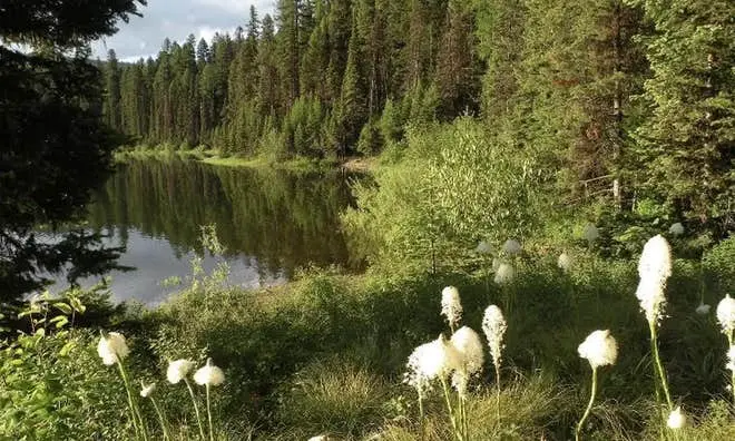 Camping near Rainy Lake Campground: Lake Inez Point 6 (group Camp Site), Seeley Lake, Montana
