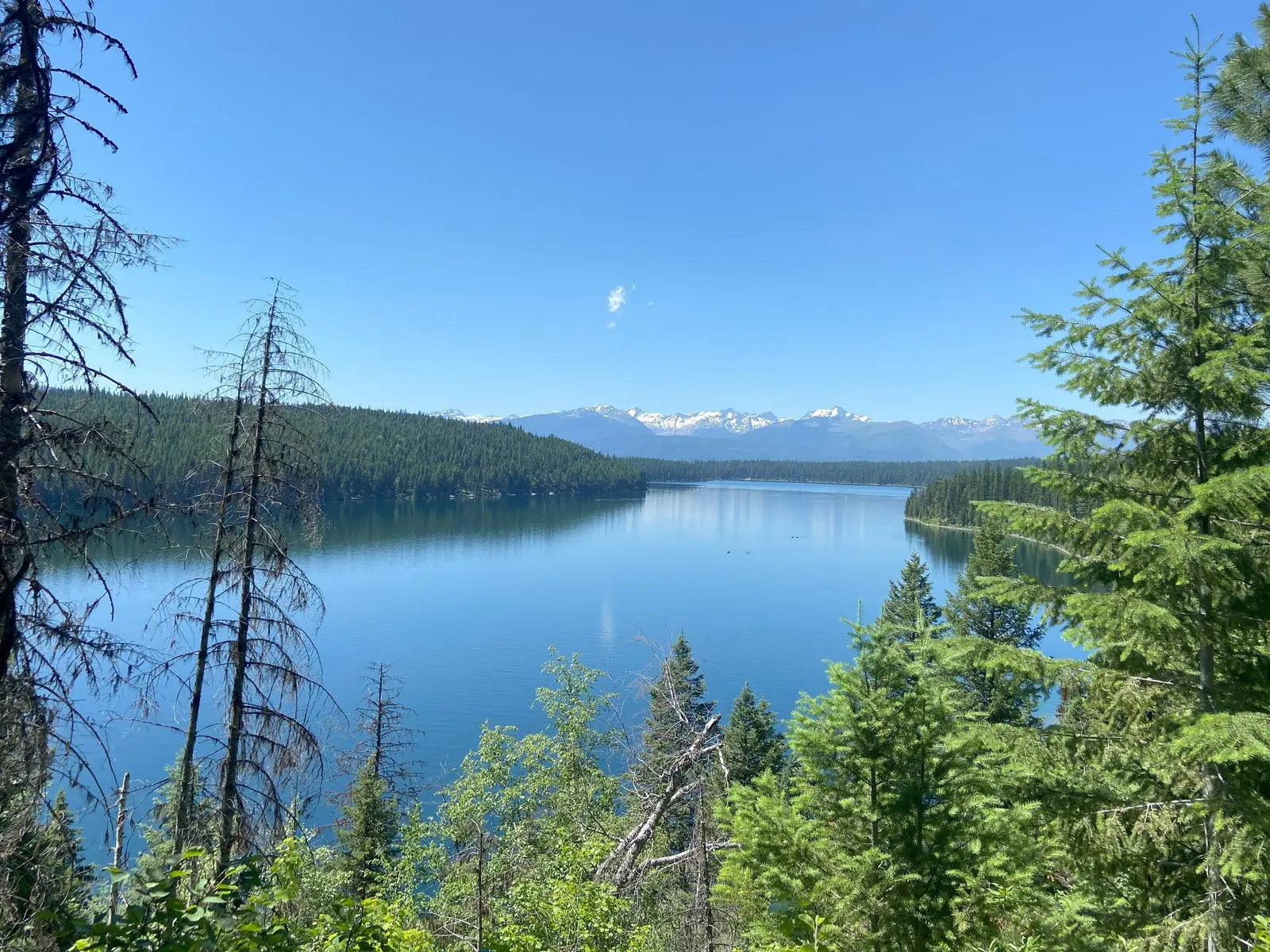 A blue lake is surrounded by evergreen trees with snow-capped mountains in the distance.