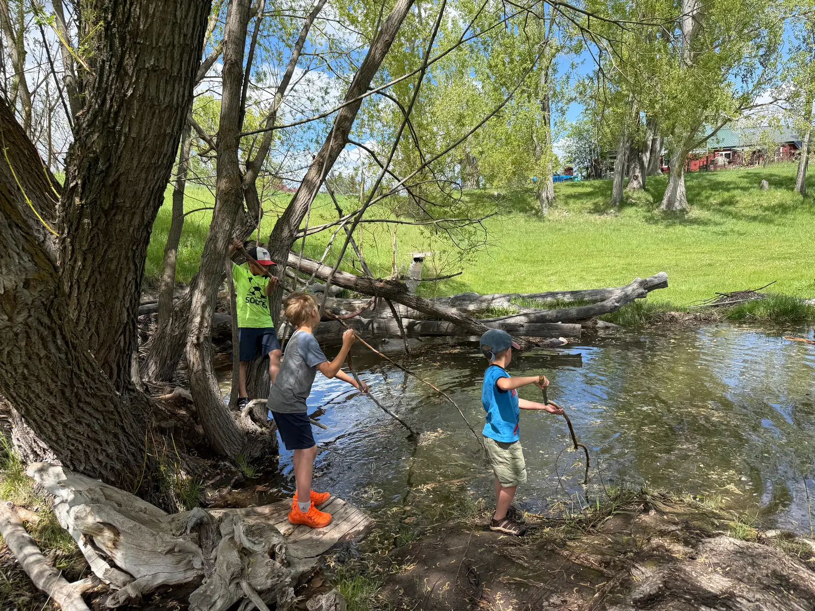 Three children play with sticks by the edge of a pond.