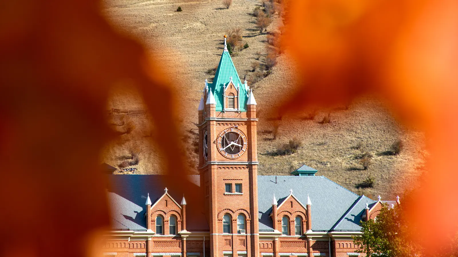 Montana Hall through yellowing leaves