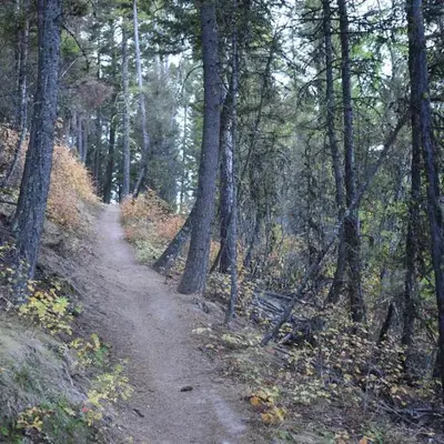 Near Ravine Creek Trail