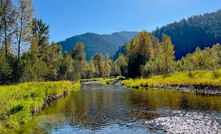 A river flows through a landscape of trees and grassy banks under a clear sky.