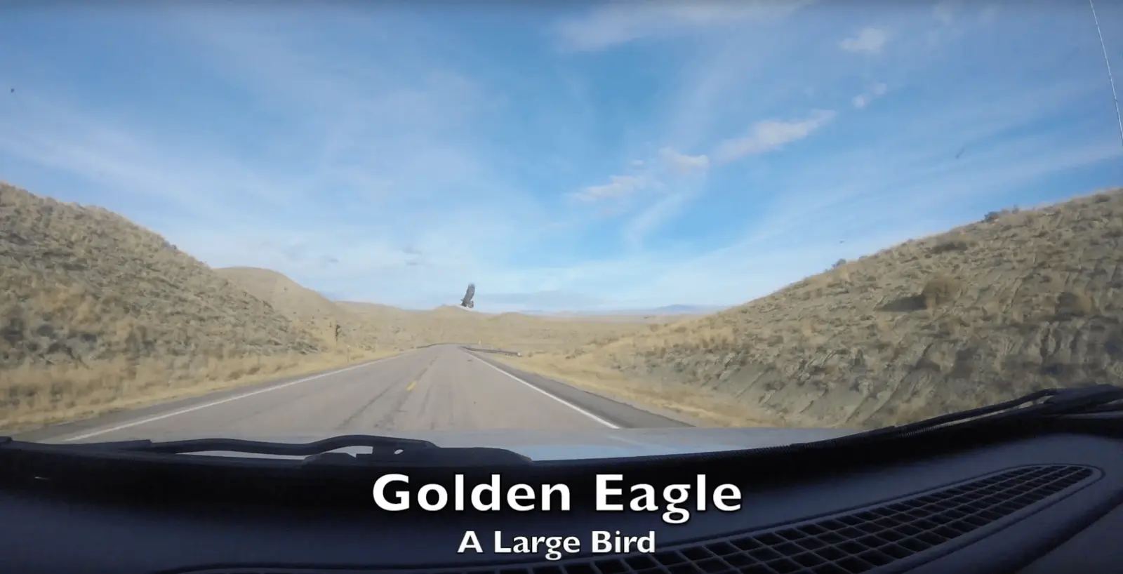 A bird flies above a remote road surrounded by a dry, hilly landscape.