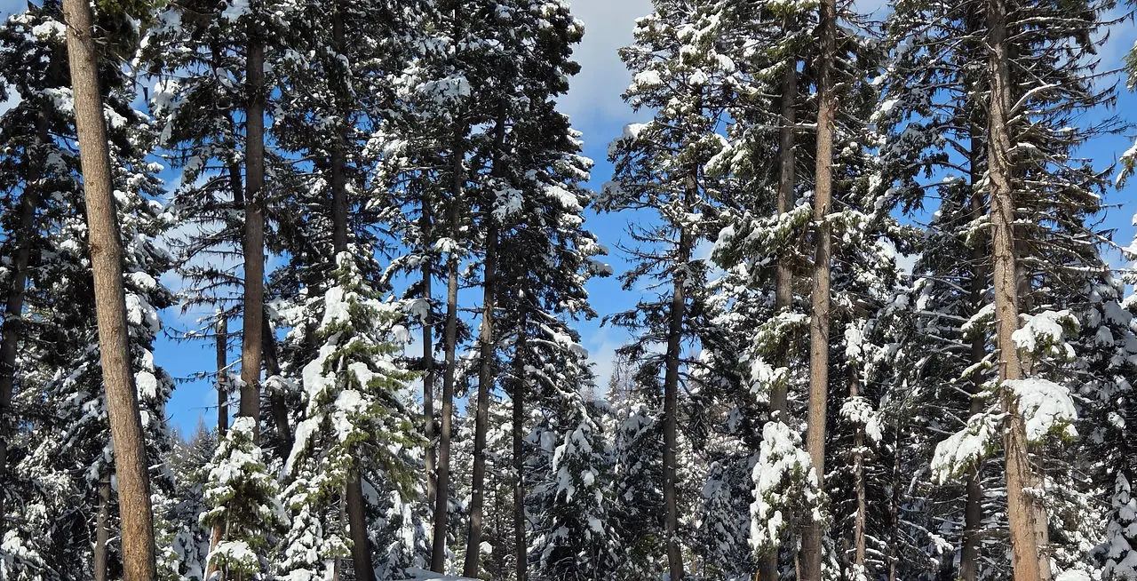 20260315_154019.jpg