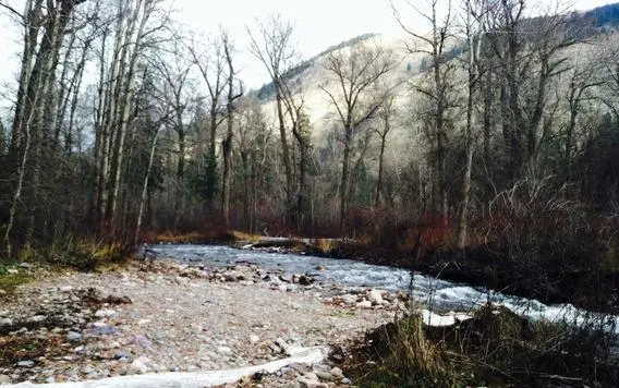 A rushing stream flows through a wooded valley with bare trees.
