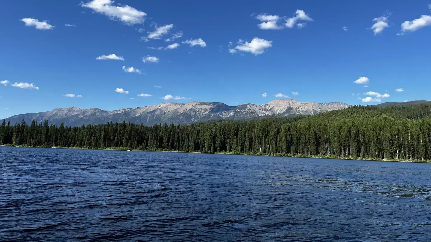 A photo of Lake Alva on a sunny day. The water and skies are bright blue, and trees and the swan range can be seen in the background.