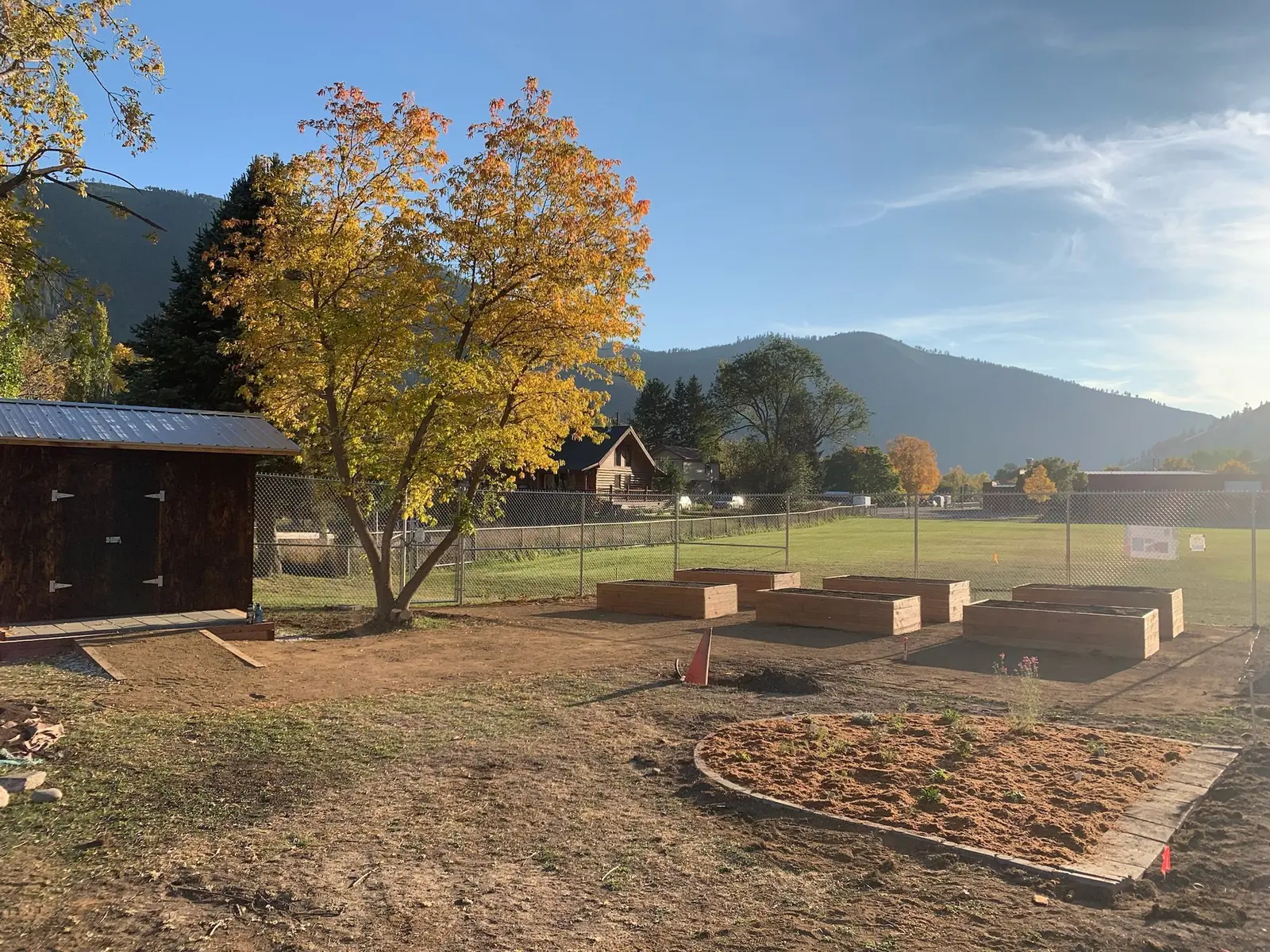 A garden area with raised planting beds sits under a large tree with autumn leaves against a mountain backdrop.